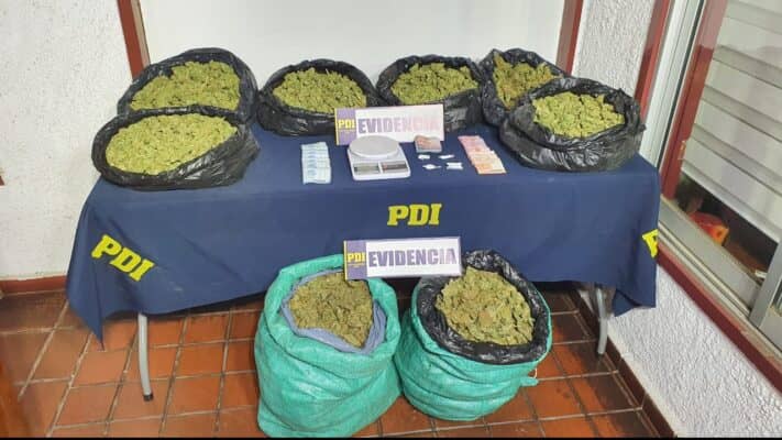 PDI de Curicó detuvo a siete personas con más de 20 kilos de marihuana en camino a Upeo
