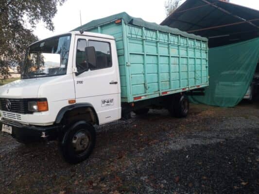 Agricultor de Cumpeo sufre millonario robo de un camión y diez yeguas inscritas