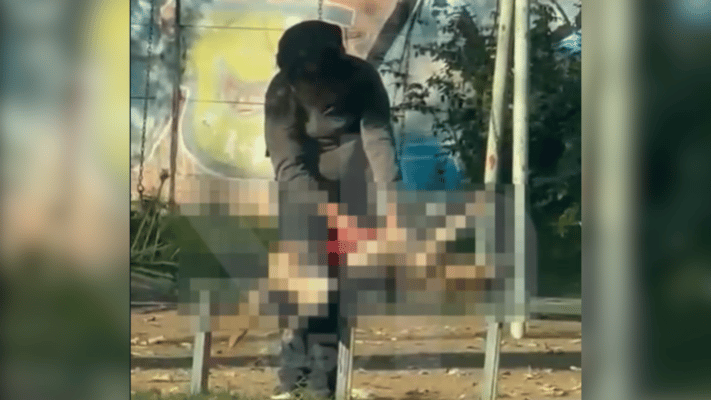 Sujeto extirpó el corazón de un perro en plena vía publica en Curicó