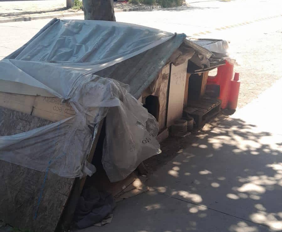 Municipio notifica a vecinos que alimentan a “perros comunitarios” para que sean reubicados