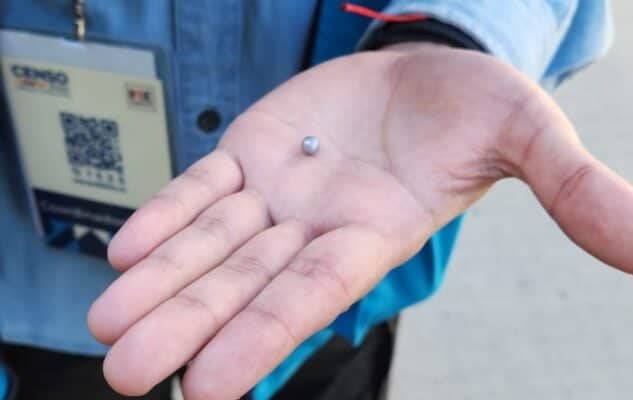 Disparan balín de acero a censista de Rancagua y otro denunció maltrato en Curicó