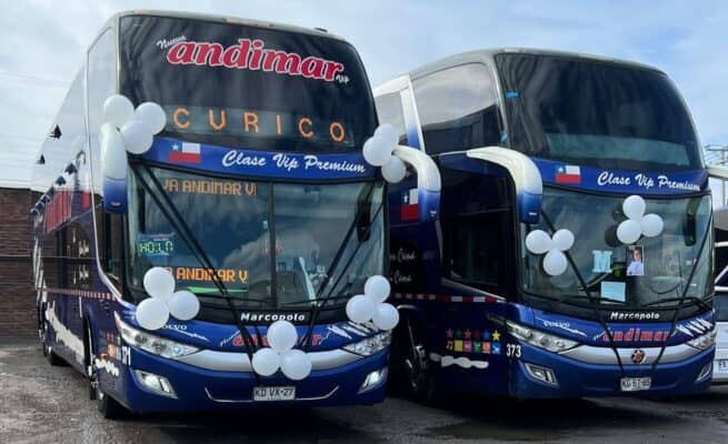 En Licantén será sepultado este sábado conductor fallecido