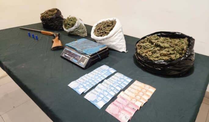 Desarticulan banda de tráfico de drogas en Pencahue: detenidos con más de 5 kilos de marihuana y armas
