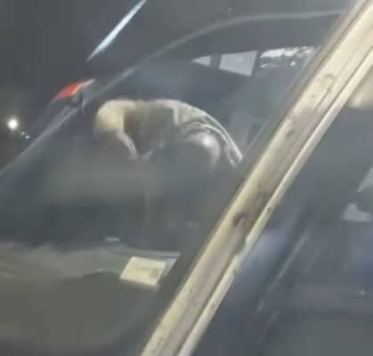 Pelea entre conductores genera preocupación por la seguridad de los pasajeros