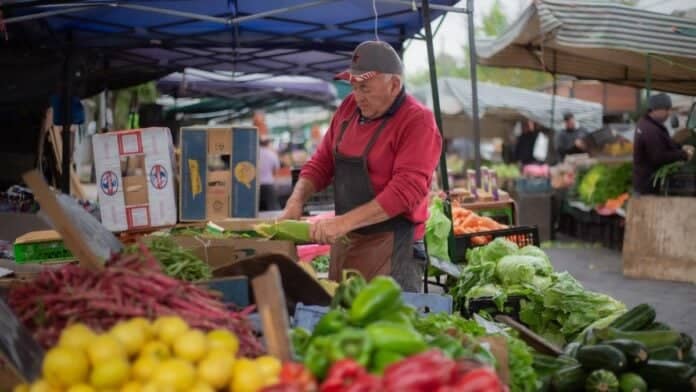 INE revela que en Chile hay casi 2 millones de microemprendedores detallando cuánto ganan