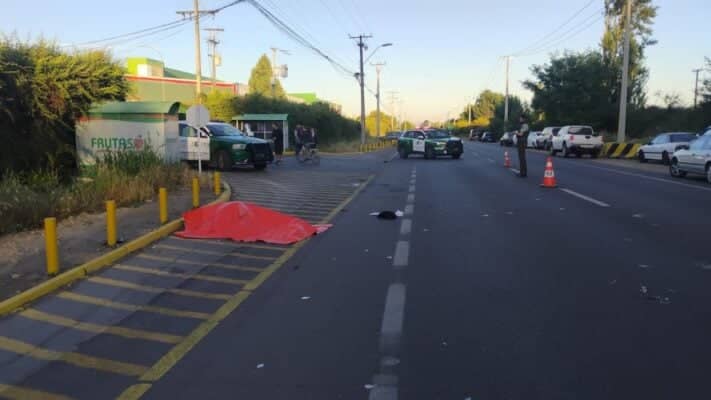 Tragedia en Los Niches: Adulto mayor fallece tras colisión con minibús de temporeros en la Ruta J-65
