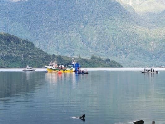 Armada confirma quinta víctima fatal por hundimiento de embarcación en Los Lagos