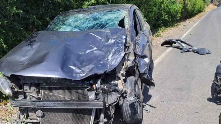 Violento impacto contra caballar en el acceso al cerro Los Cristales deja daños de consideración