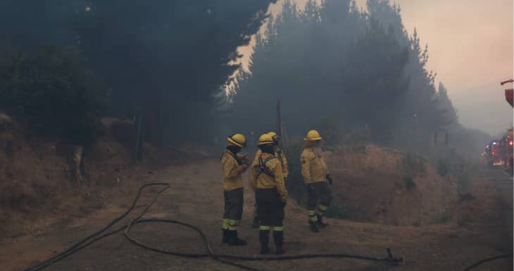Dos detenidos por su presunta responsabilidad en inicio de focos de incendio en Pencahue y Teno