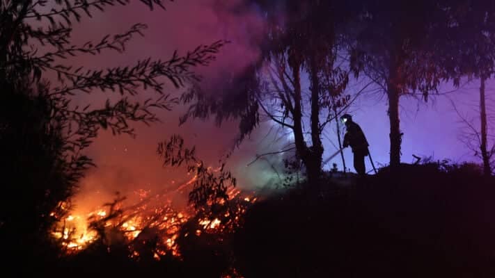 Rauco: Bomberos combate dos focos de incendio a orillas de la Ruta J-60