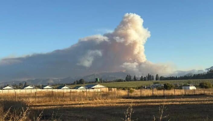 Declaran Alerta Roja para Curepto y Pencahue por descontrolado avance del incendio forestal "El Ajial"