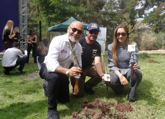 ¿Cómo inscribirse? RallyMobil anuncian la entrega gratuita de 700 árboles nativos para la comunidad curicana