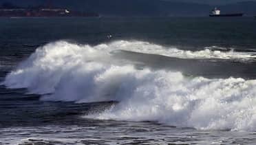 Turistas casi fueron arrastrados por marejadas en Iloca