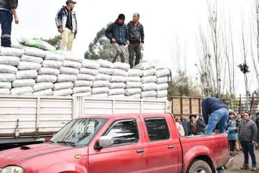 Un centenar de productores de Sagrada Familia recibieron alimentos para sus animales
