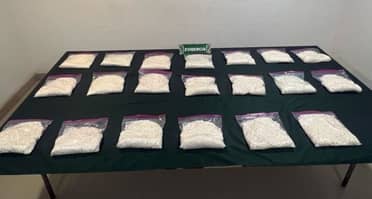 Perro policial detecta casi 20 kilos de droga en vehículo: Conductor a prisión preventiva