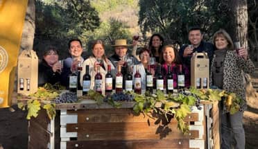 Todo listo para la tradicional Fiesta de la Chicha de Rincón de Mellado: Tres días de música, sabor y folclore