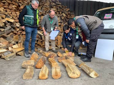 Autoridades realizaron fiscalización al comercio leñero en Curicó