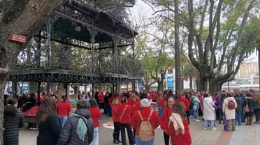 Manipuladoras de Curicó exigen a la Junaeb el cumplimiento de las licitaciones