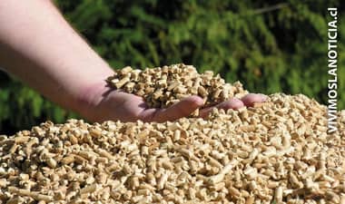 Demuestran conveniencia económica de calefacción a pellets
