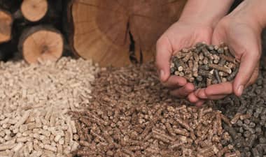 Conozca cómo identificar pellets de buena calidad en cinco pasos