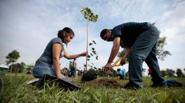La reforestación sigue siendo un tema pendiente en la región