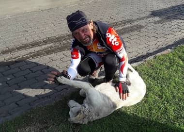 De paso por Curicó: veterinario recorre el mundo por causas animalistas