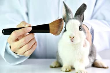 Productos "Cruelty Free": las marcas chilenas y extranjeras que no testean en animales