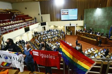 Diputadas y Diputados aprobaron en particular proyecto de matrimonio igualitario