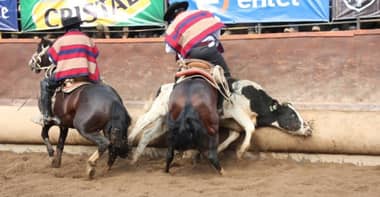 Cámara de Diputadas y Diputados aprobó que el rodeo reciba recursos del Fondo para Fomento al Deporte