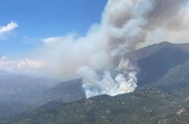 Onemi declaró alerta roja en San Fernando por incendio forestal en Sierras de Bellavista
