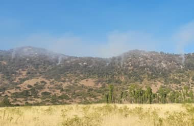 Incendio forestal en Sagrada Familia ha consumido 30 hectáreas en sector Los Maquis