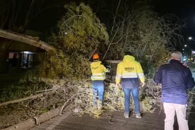 Autoridades provinciales en Curicó entregan nuevo balance por afectaciones durante temporal