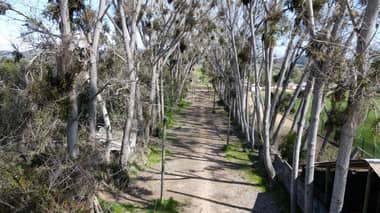 CORE del Maule aprobó recursos para construir paseo Peatonal Calle Ex Cancha De Carreras en Licantén
