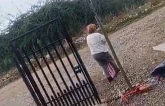 Familia curicana vive un calvario por enfermedad mental que afecta a una de sus integrantes