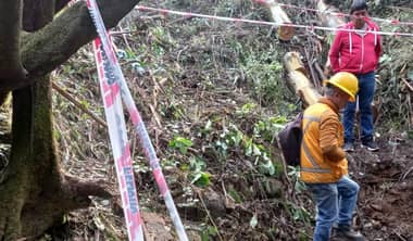 Forestal Vista Hermosa responde a denuncia por Tala Ilegal en Vichuquén: Acusa a contratista y presenta antecedentes a la Conaf