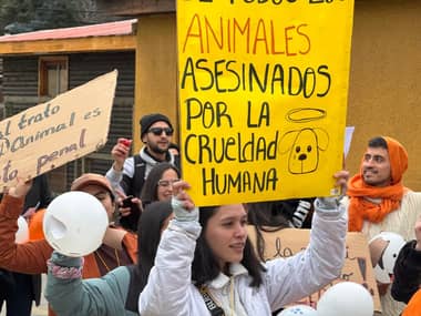 Chanco alza la voz por el bienestar animal en masiva marcha