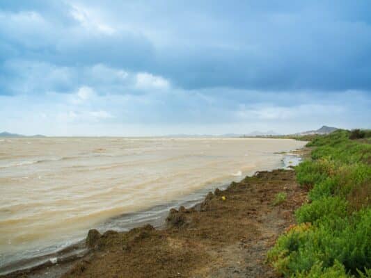 Mar Menor: historia de un colapso ambiental que pudo haberse evitado
