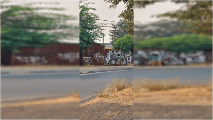 Vecinos denuncian toma de terreno en sector Maule Abajo de Curicó