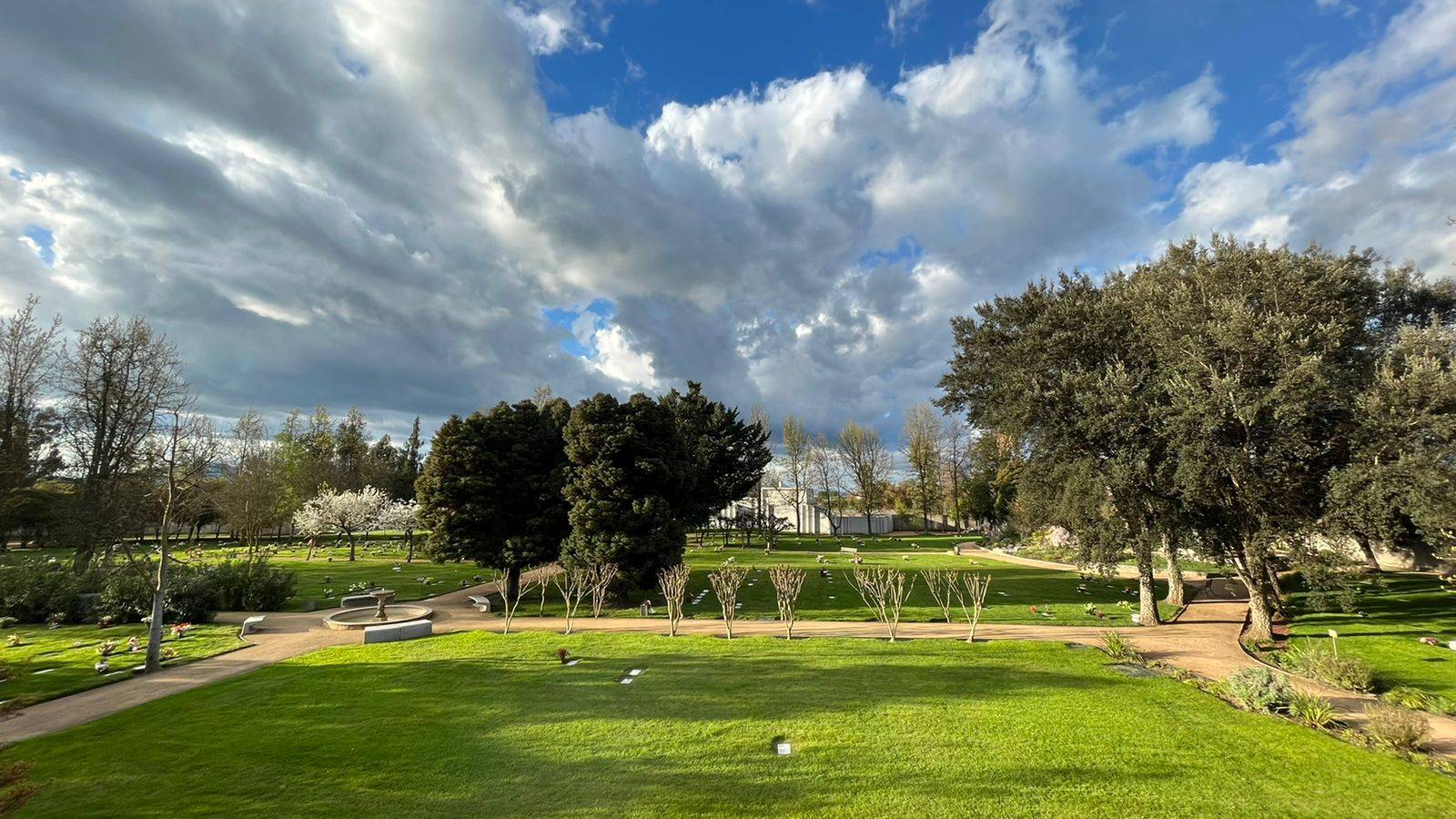 Parques y Cementerios Curicó prepara recepción de visitas en el Día de Todos los Santos