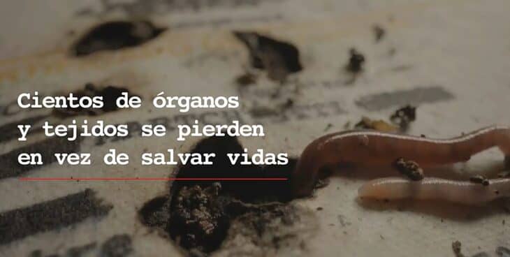 "Comida para gusanos": Polémica campaña de donación de órganos del Minsal se llena de críticas