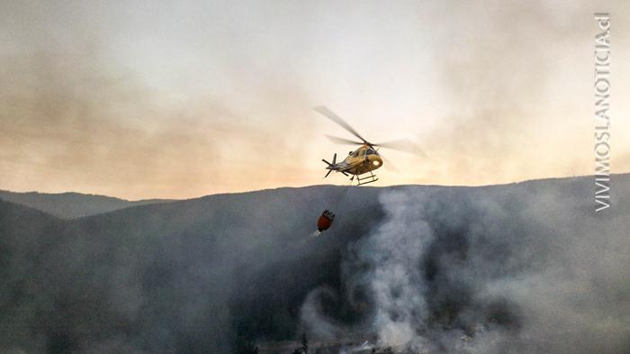 Controlan incendio forestal en Vichuquén
