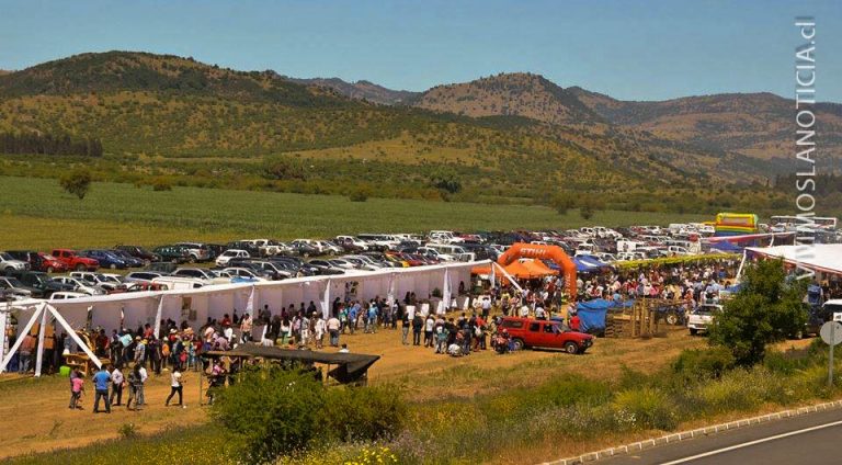 Todo listo para la fiesta del cordero de Hualañé