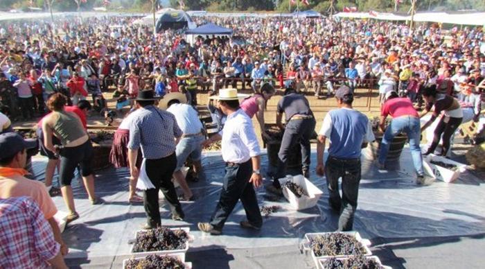 Fiesta de la Chicha: Se acerca el gran evento campestre de la zona central