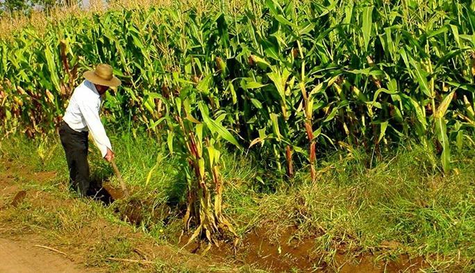 Con uso de tecnología en el agro se puede ahorrar hasta un 60% de agua