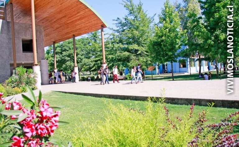 UCM mantiene sus becas y beneficios con la llegada de la gratuidad