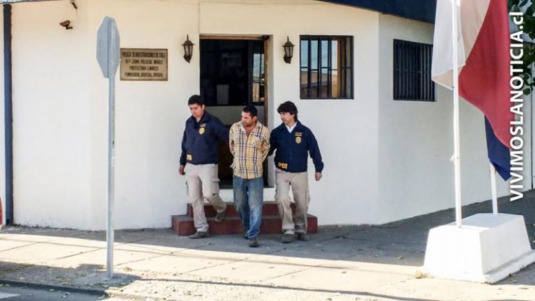 PDI recuperó nueve caballos y detuvo a dos sujetos por abigeato