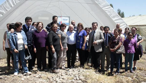 Floristas de Maule buscan acceder a mejores invernaderos