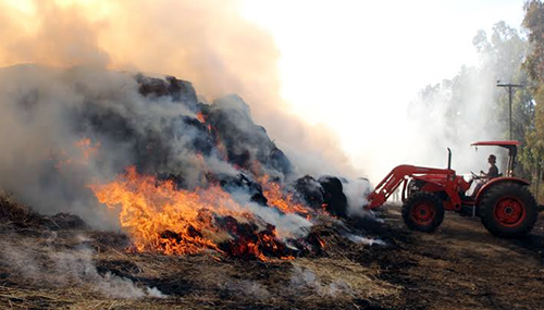 Incendio provoca millonarias pérdidas en fundo de Vichuquén
