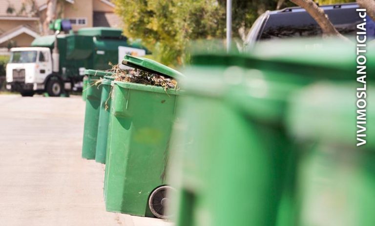 Abiertas postulaciones a proyectos ambientales