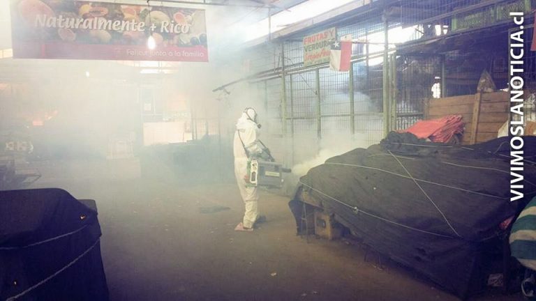 FELICUR cierra sus puertas por un día por sanitización